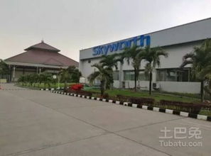 TCL與創維攜手拓展海外市場 技術交流驅動新合作布局