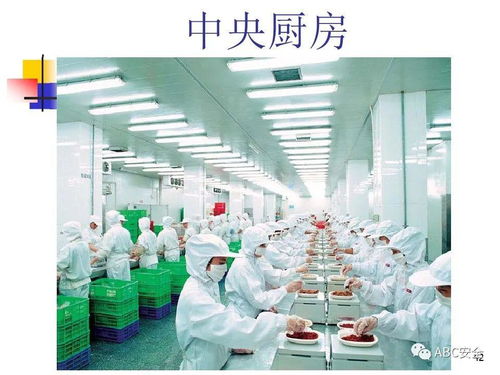 食品安全法與餐飲服務 筑牢健康防線，守護“舌尖上的安全”
