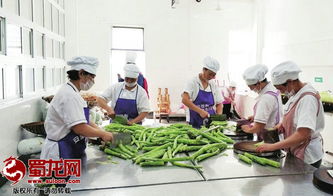 綿陽市“明廚亮灶”工程成效顯著，餐飲服務單位覆蓋率突破75.5%
